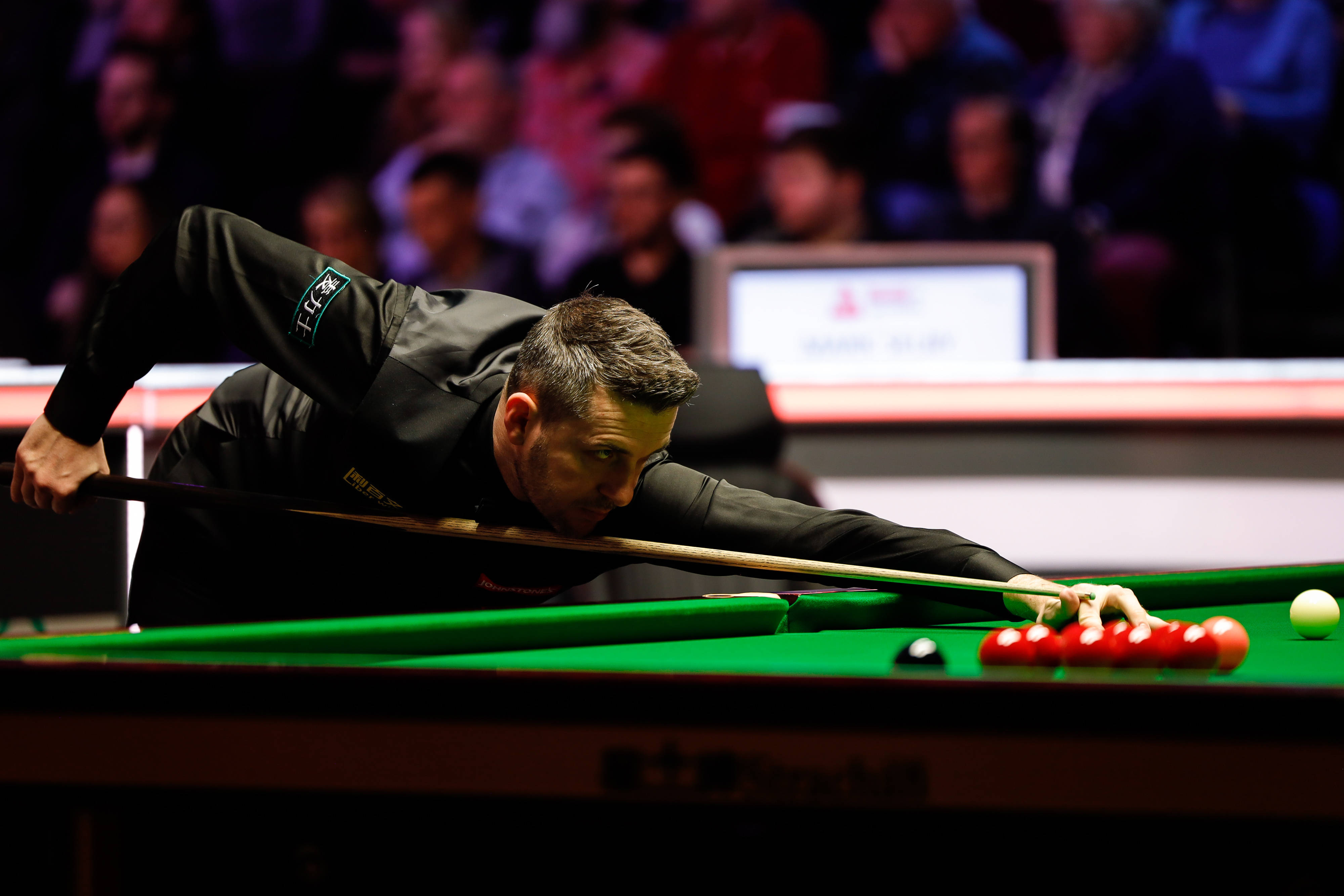 增加了阵容 增加了阵容