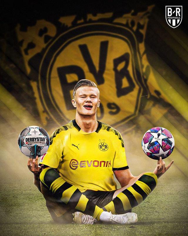 锤炼决策与 锤炼决策与