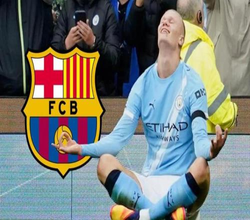 高质量的选 高质量的选