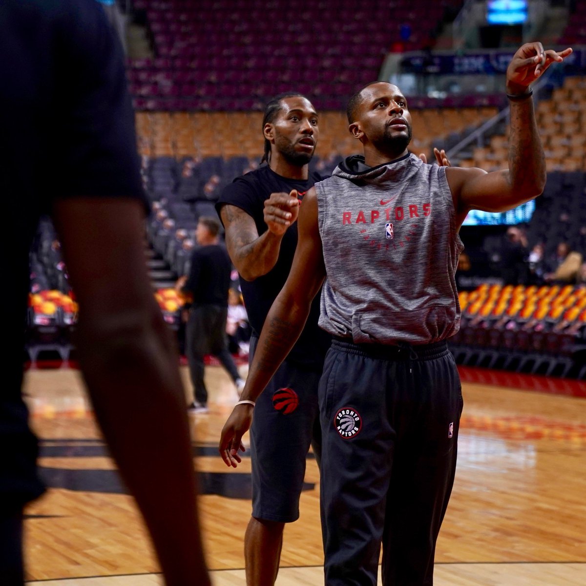 萨尼亚的判 萨尼亚的判